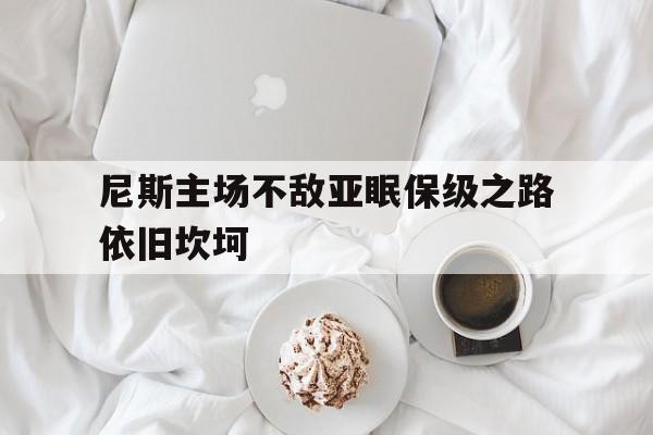 尼斯主场不敌亚眠保级之路依旧坎坷的简单介绍