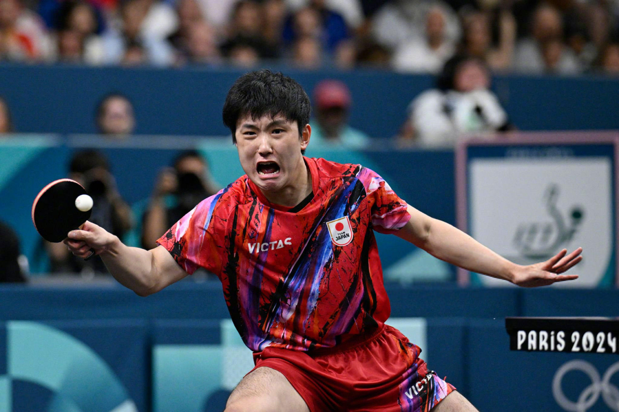 开云平台-奥地利队完胜日本队，张本智和扛起全队