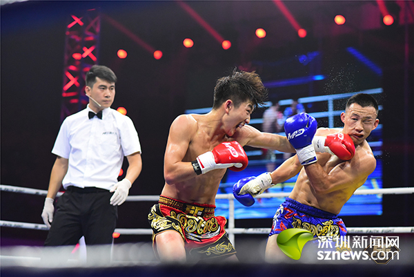 开云体育中国-罗马绝杀波兰，布鲁诺带队取胜