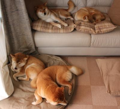 铁血尼克斯用进攻狂潮淹没绿军,东决关键战火力压制成胜负手