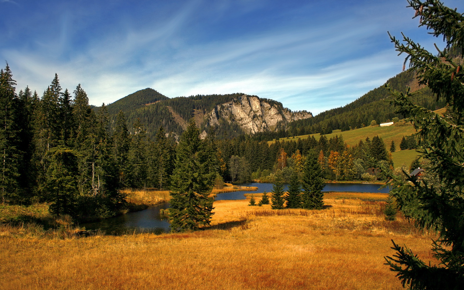 开云下载-绝杀时刻，上海队险胜公牛，小贾伦独揽乾坤