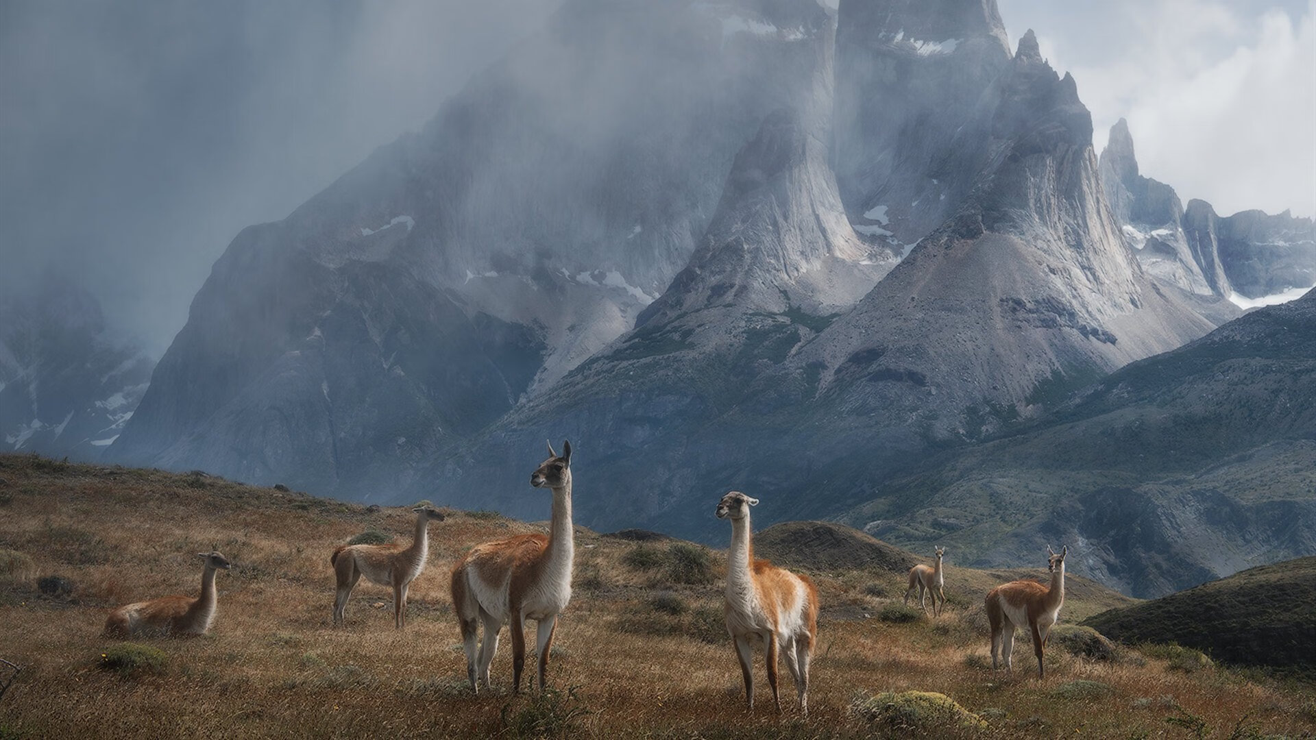 登顶时代，戈贝尔深夜带队登顶2026世界杯之巅