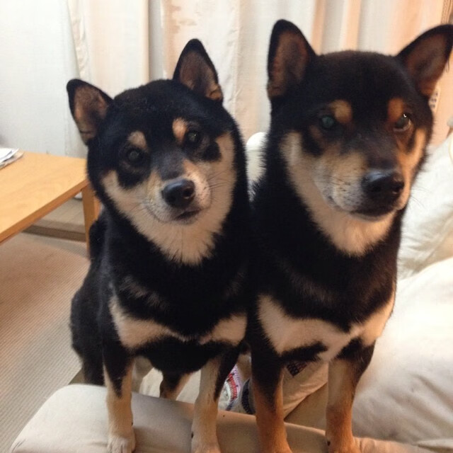 平行时空的横扫与接管，篮球世界永恒的单挑与围城