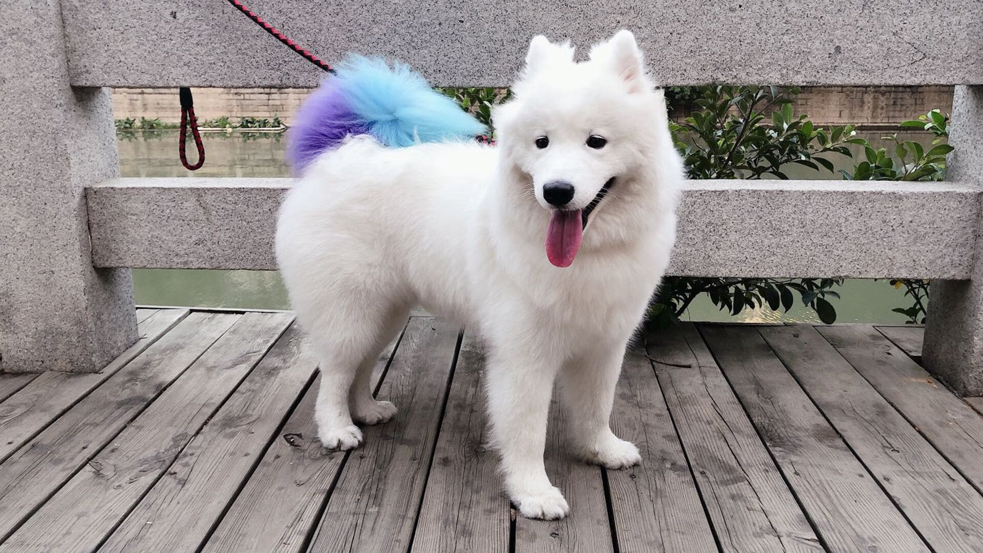 开云官网-狂沙席卷极寒之地！新疆队火力全开，小贾伦连珠炮轰碎猛龙防线