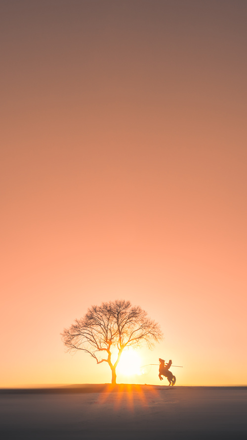 猛龙狂袭破坚城，孤胆骑士布伦森评分拉满诠释何为现代英雄主义