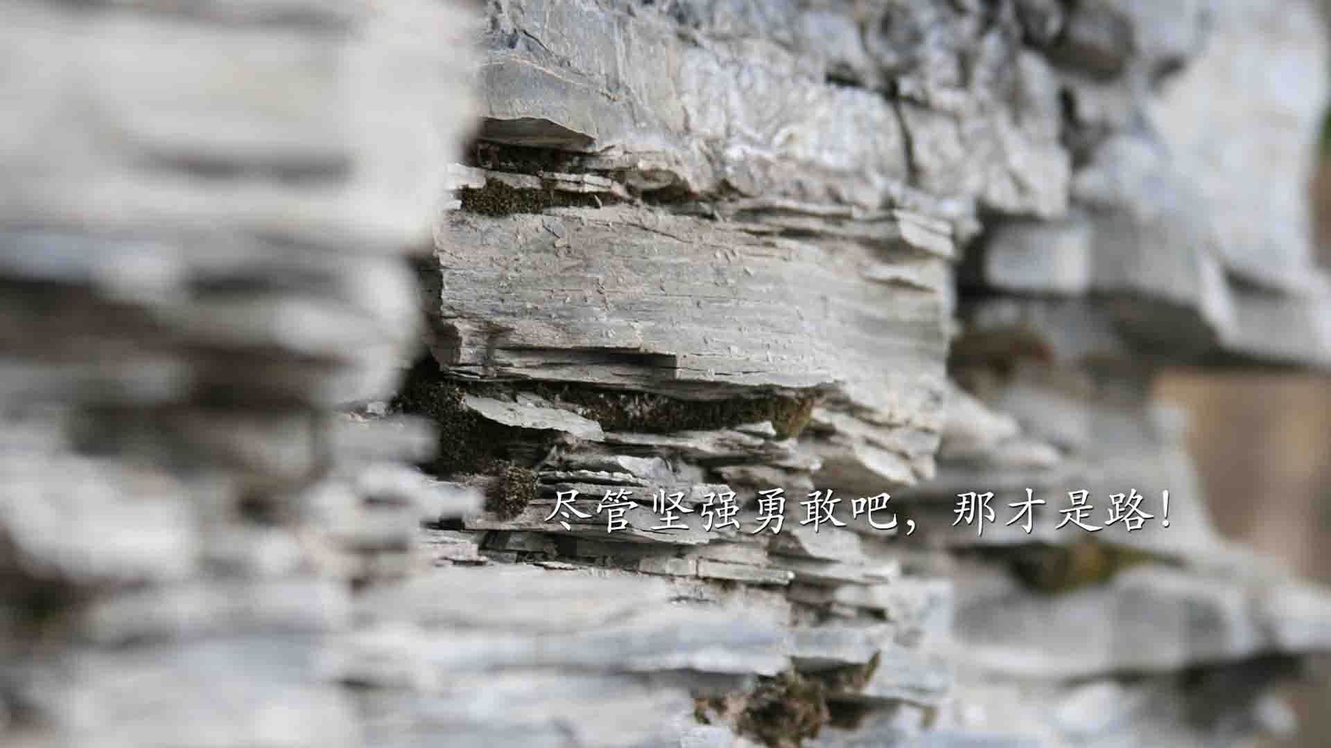 开云APP-小贾伦改写队史封盖传奇 独行侠铁血防守终结步行者进攻狂潮