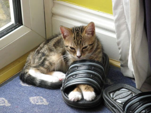 开云官网-爵士对阵76人，马克西稳定输出不掉线，76人主场告捷