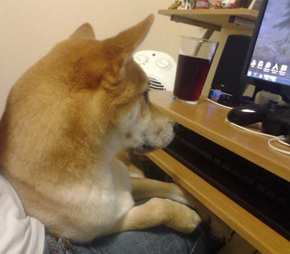 开云体育官方网站-绿茵双城记，当英格兰悬崖勒马时，哈兰德在慕尼黑加冕为王