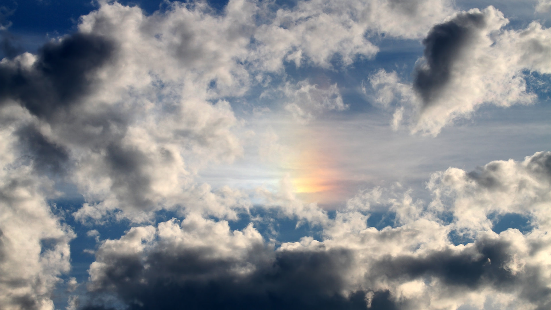 东西双星，辽宁团队压制与福克斯生死接管