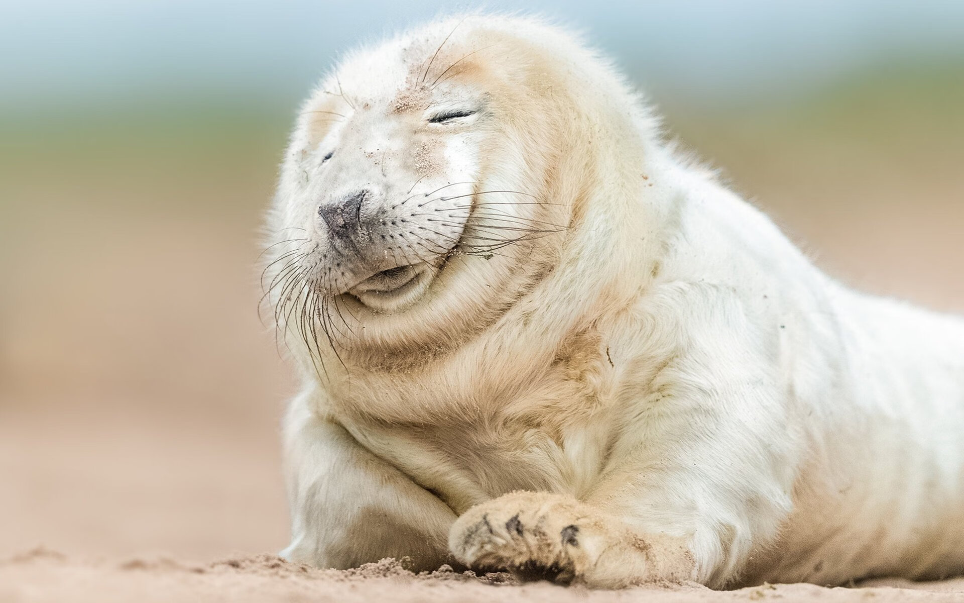 开云体育登录-从爱德华兹到热火防守，团队篮球的双重奏鸣