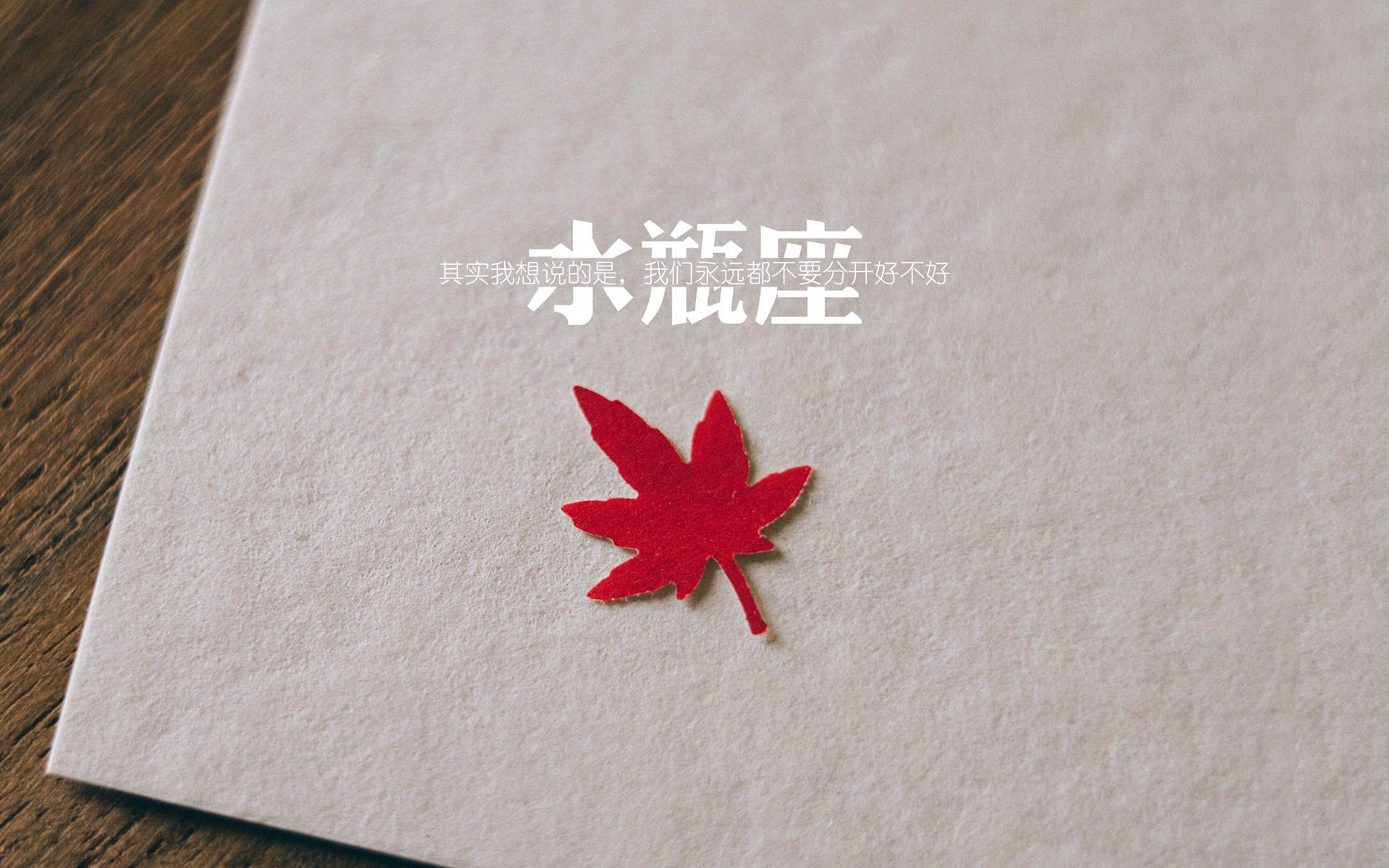 黑马奔腾，2026世界杯巅峰对决，尼日利亚防守反击击溃越南，B费化身中场指挥官