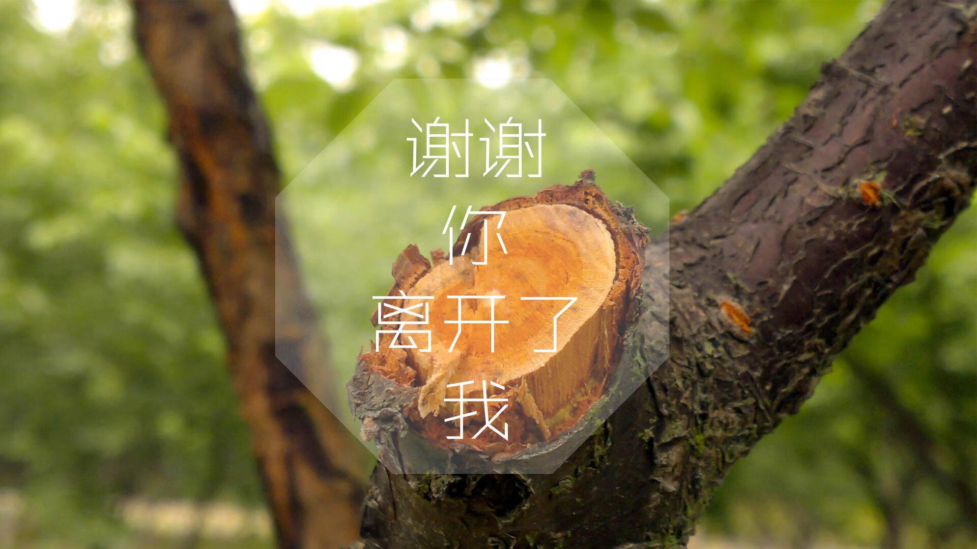 开云体育入口-橙衣风暴席卷绿茵，奥斯梅恩压哨绝杀点亮2026世界杯B组巅峰夜