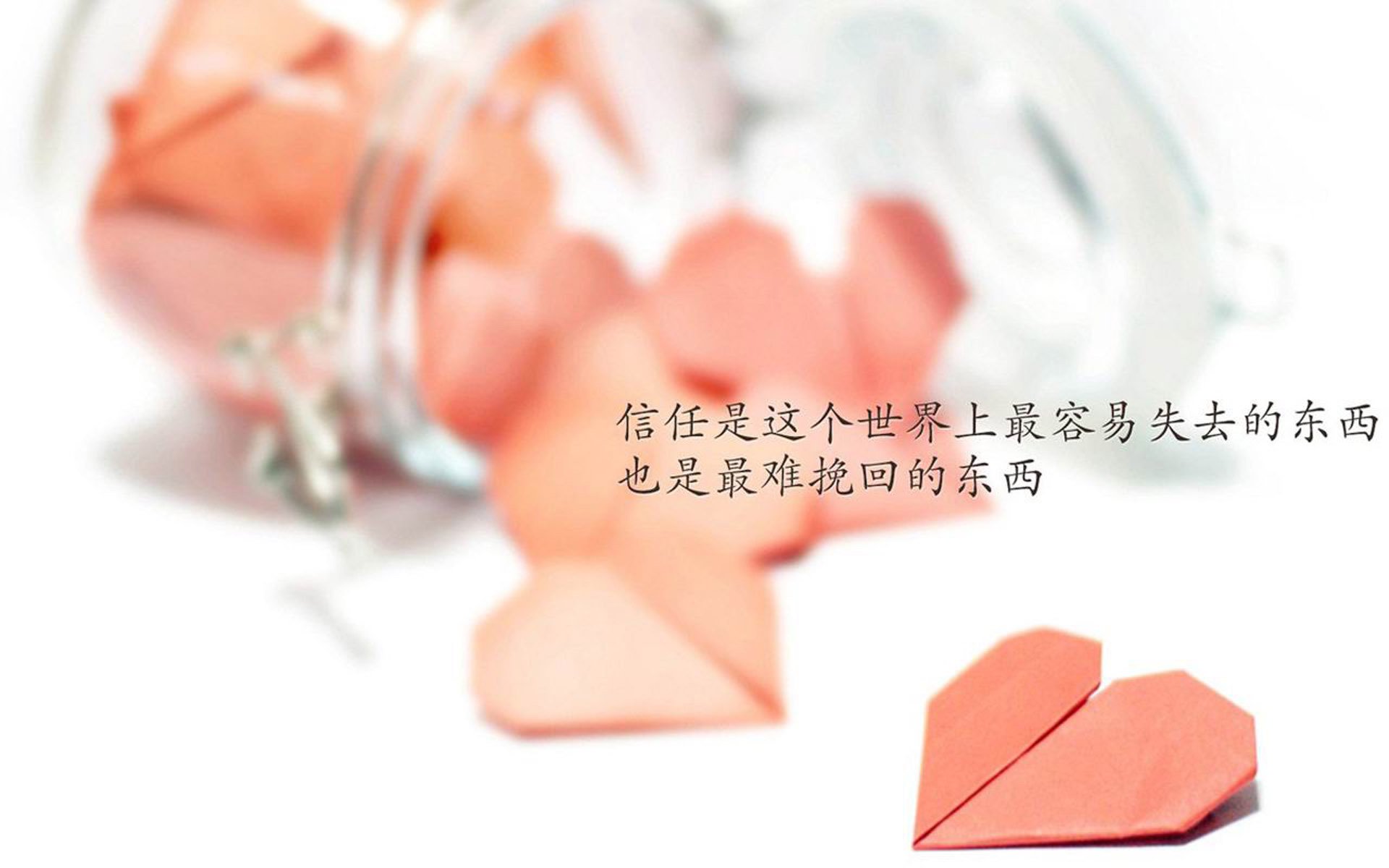 震碎格局!澳大利亚碾压美国,德容闪耀改写世界杯小组赛剧本