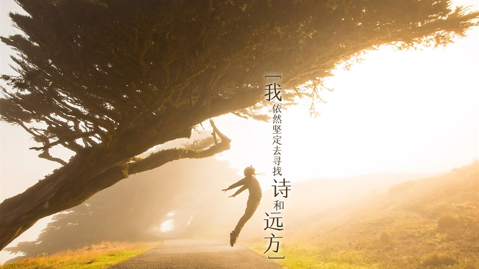-中亚铁骑的孤勇与桑巴舞者的黄昏，当莫德里奇在2026世界杯改写宿命