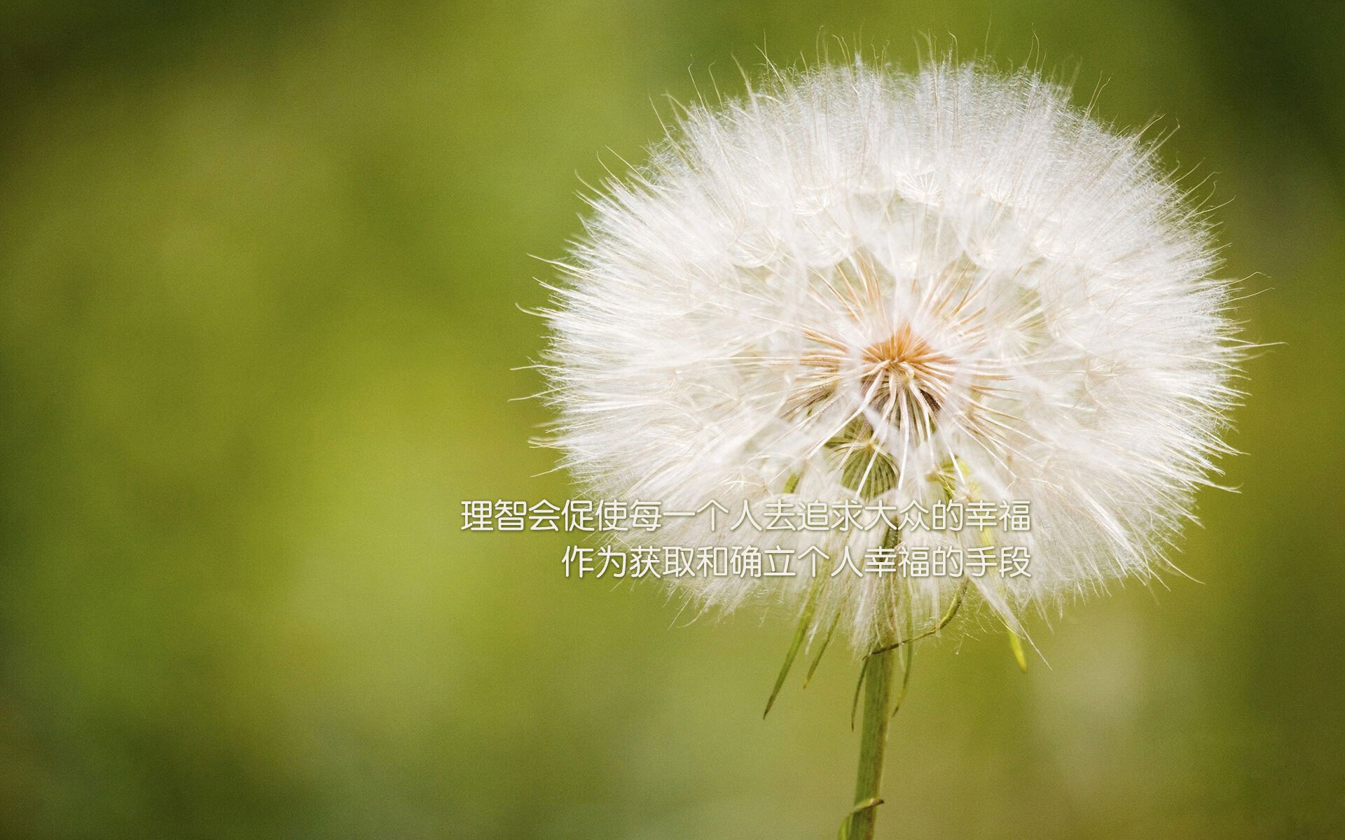 奇迹之夜，费利克斯压哨绝杀，加纳完胜沙特引爆2026世界杯H组焦点战